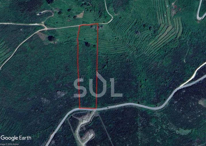 Terreno para Venda em Monchique Foto 4