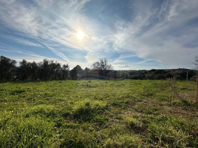 Negócio para Venda em Malveira e São Miguel de Alcainça Foto 19