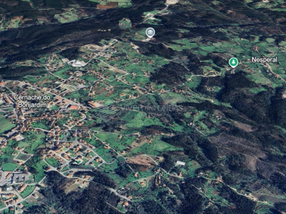Terreno Agricola ou Rústico para Venda em Cernache do Bonjardim, Nesperal e Palhais Foto 4