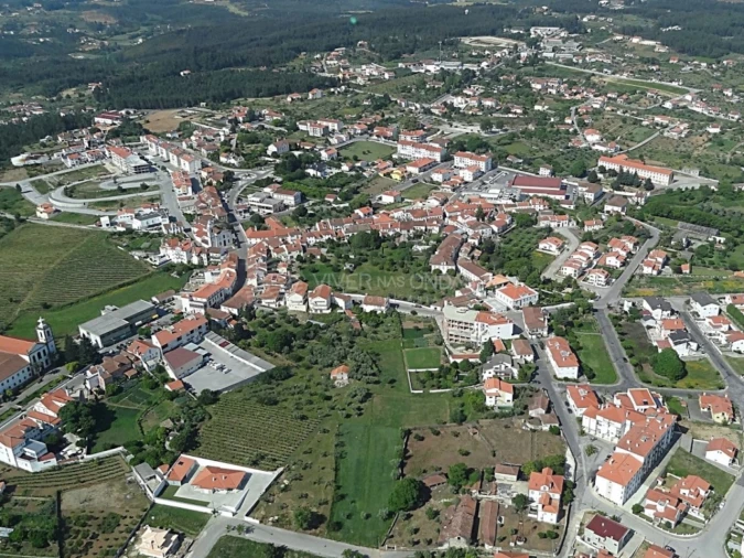 Terreno Agricola ou Rústico para Venda em Cernache do Bonjardim, Nesperal e Palhais Foto 4