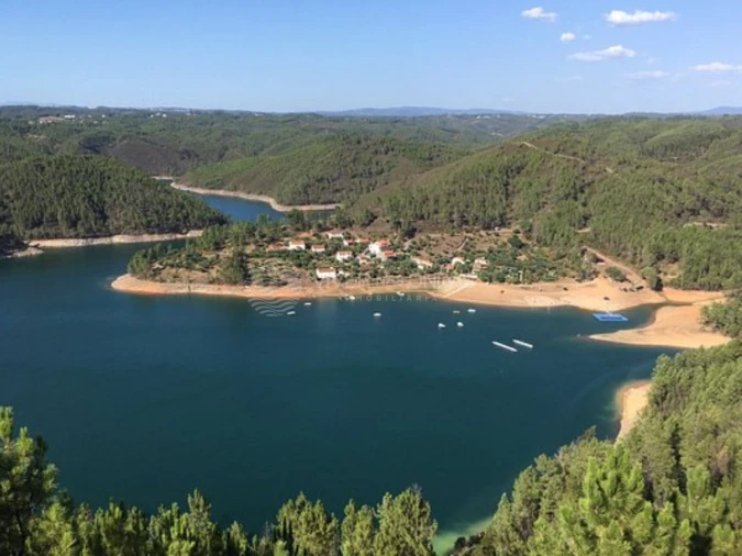 Terreno Agricola ou Rústico para Venda em Cernache do Bonjardim, Nesperal e Palhais Foto 5