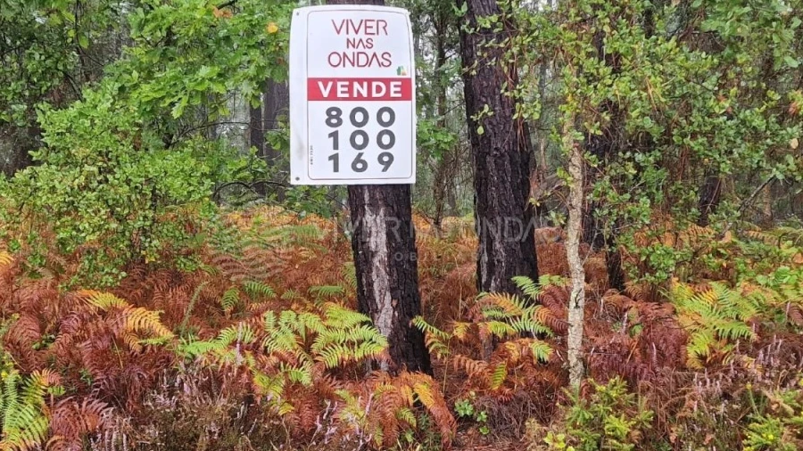 Terreno Agricola ou Rústico para Venda em Cernache do Bonjardim, Nesperal e Palhais