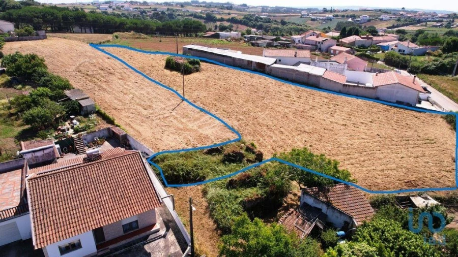Terreno para Venda em Aljubarrota Foto 5