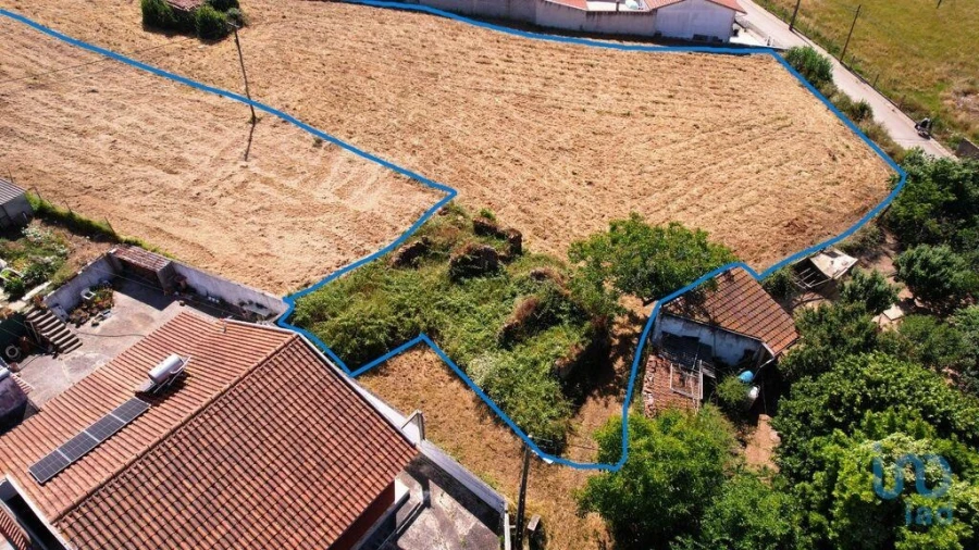 Terreno para Venda em Aljubarrota Foto 1