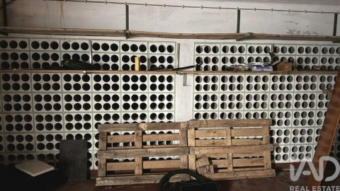 Moradia T4 para Venda em São Martinho de Árvore e Lamarosa