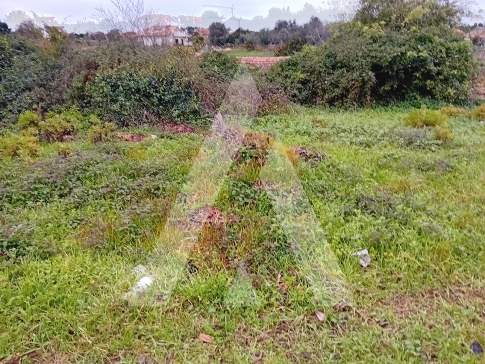 Terreno para Venda em Amoreira da Gândara, Paredes do Bairro e Ancas Foto 3