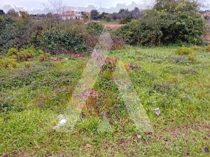 Terreno para Venda em Amoreira da Gândara, Paredes do Bairro e Ancas Foto 3