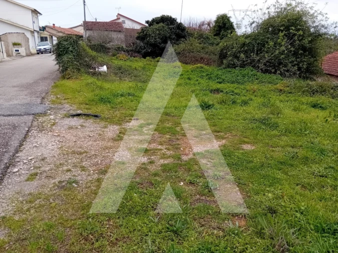 Terreno para Venda em Amoreira da Gândara, Paredes do Bairro e Ancas Foto 1