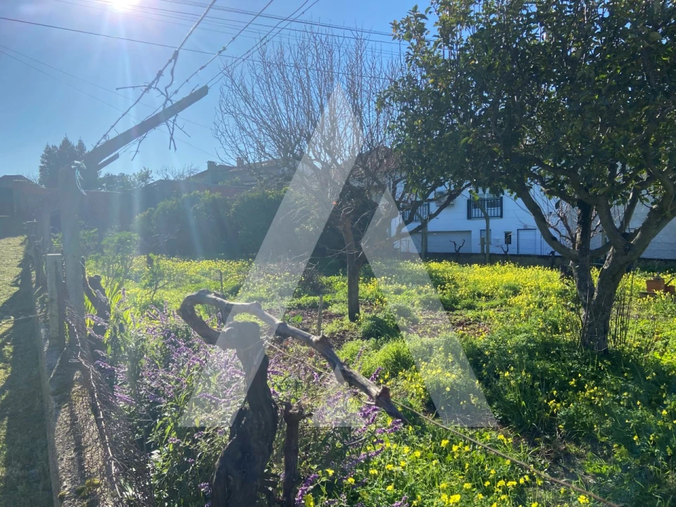 Terreno para Venda em Tamengos, Aguim e Óis do Bairro Foto 6