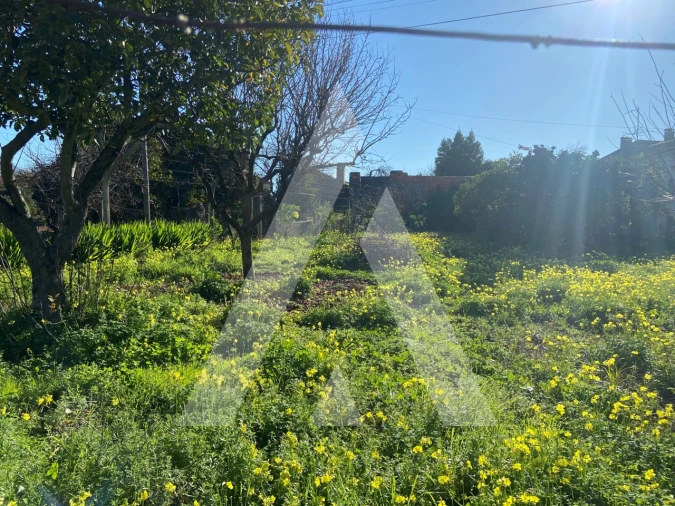 Terreno para Venda em Tamengos, Aguim e Óis do Bairro Foto 3