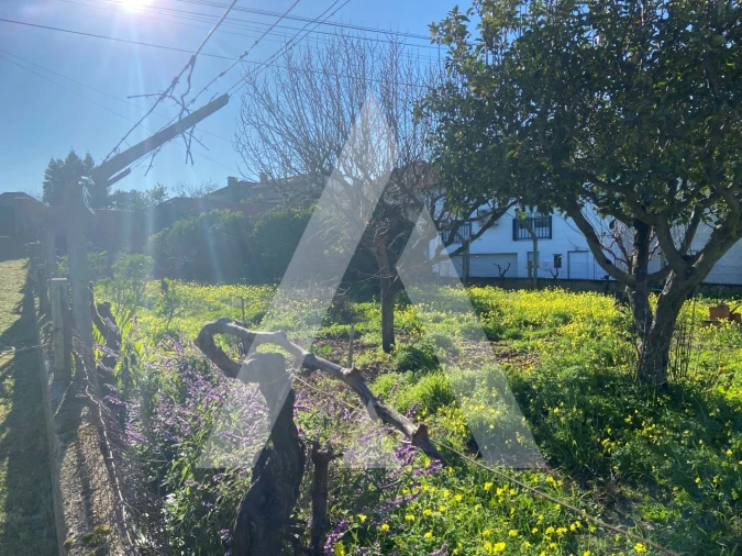 Terreno para Venda em Tamengos, Aguim e Óis do Bairro Foto 6