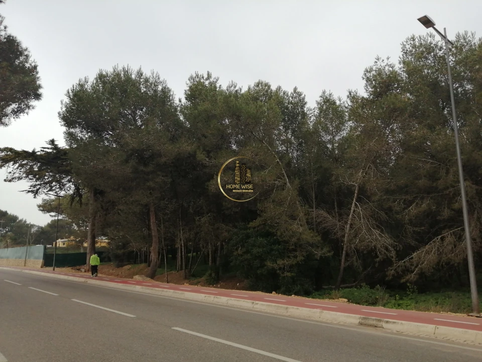 Terreno para Venda em Cascais e Estoril Foto 3