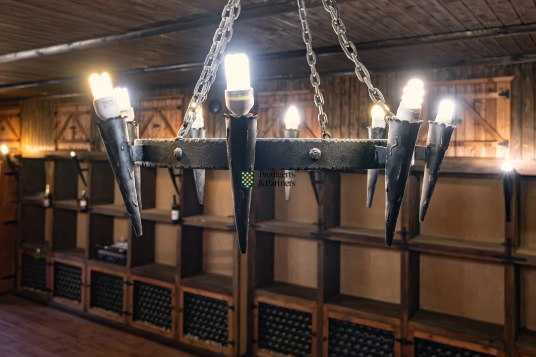 Negócio para Venda em Lagoa e Carvoeiro Foto 14