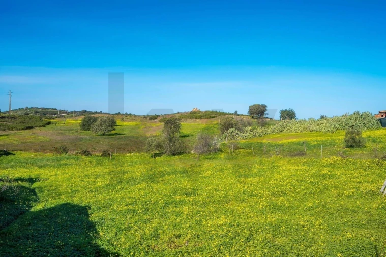 Terreno para Venda em Odeleite Foto 12