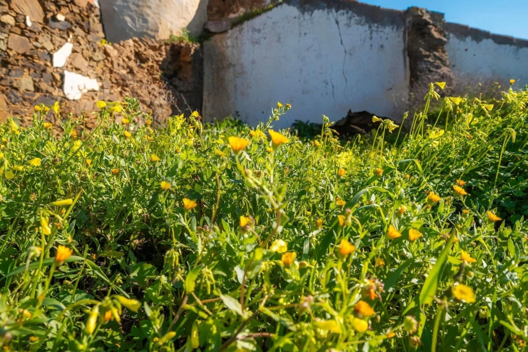 Terreno para Venda em Odeleite Foto 10