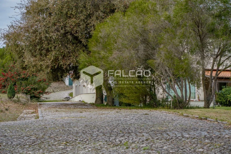 Moradia T7 para Venda em Abitureiras Foto 20