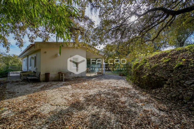 Moradia T7 para Venda em Abitureiras Foto 71