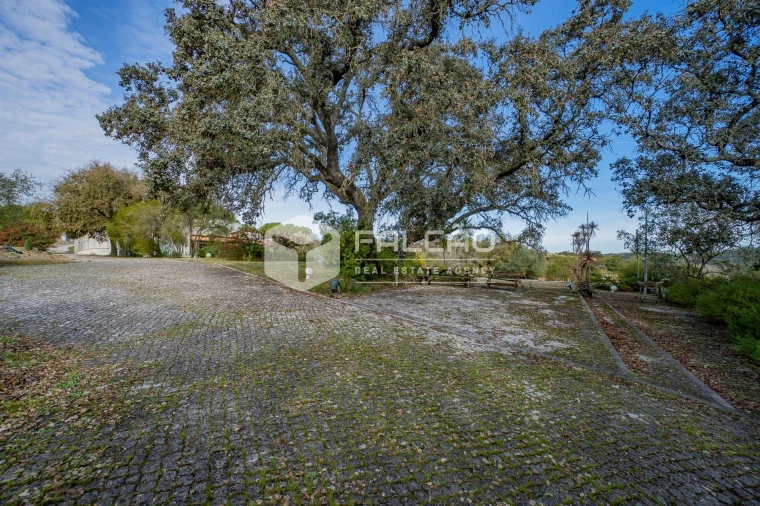 Moradia T7 para Venda em Abitureiras Foto 9