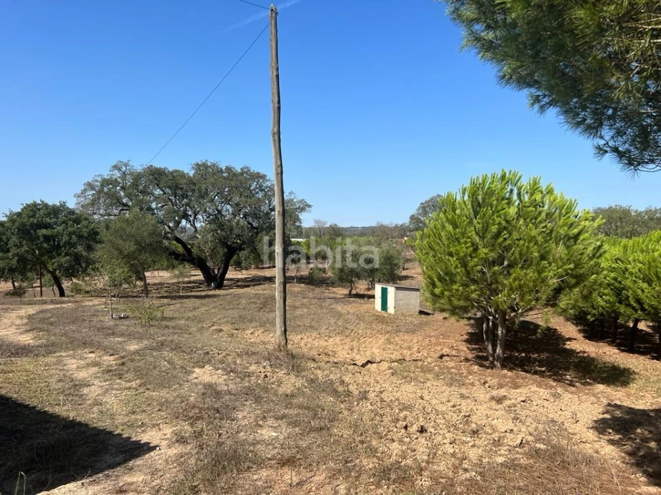 Quinta T4 para Venda em Santiago do Cacém, Santa Cruz e São Bartolomeu da Serra Foto 14