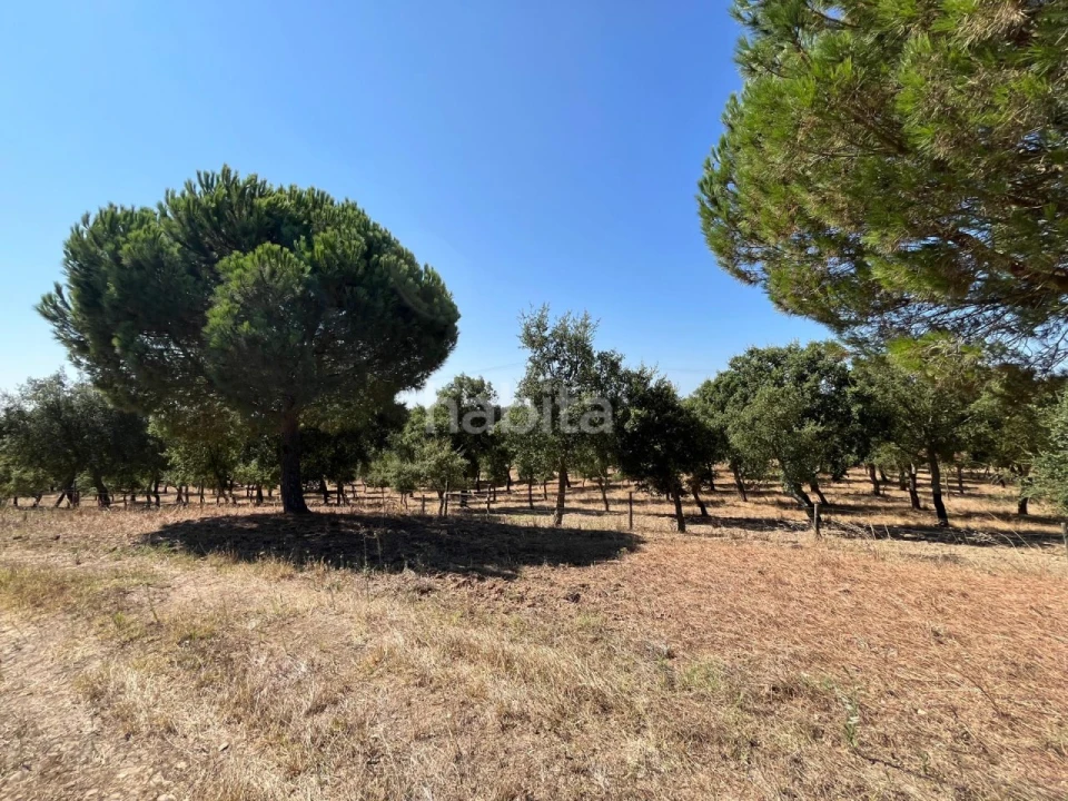 Quinta T4 para Venda em Santiago do Cacém, Santa Cruz e São Bartolomeu da Serra Foto 17