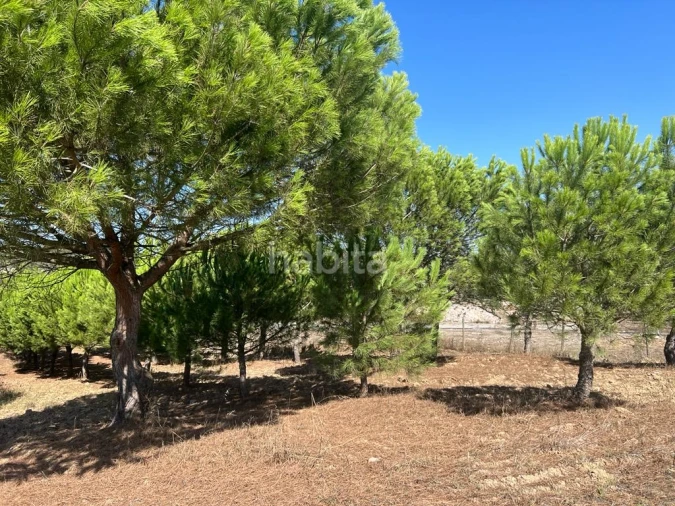 Quinta T4 para Venda em Santiago do Cacém, Santa Cruz e São Bartolomeu da Serra Foto 13