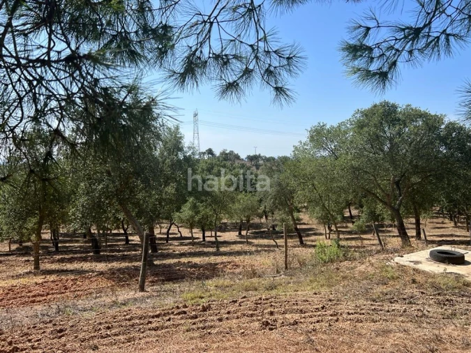 Quinta T4 para Venda em Santiago do Cacém, Santa Cruz e São Bartolomeu da Serra Foto 12