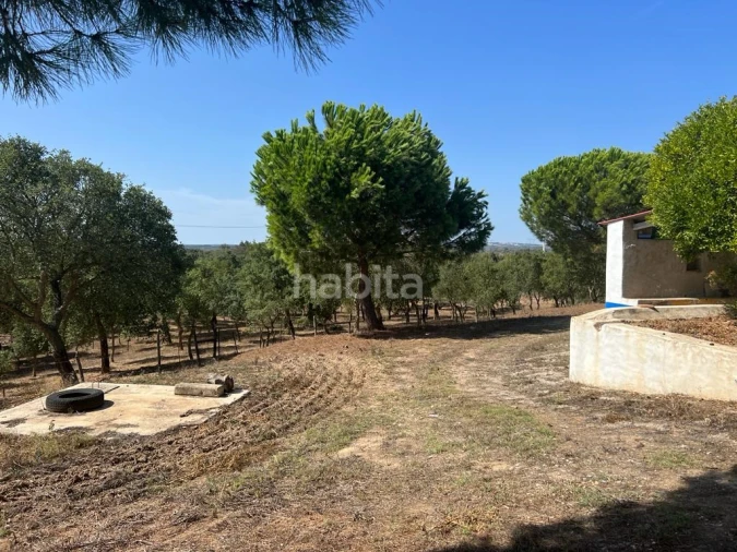 Quinta T4 para Venda em Santiago do Cacém, Santa Cruz e São Bartolomeu da Serra Foto 15
