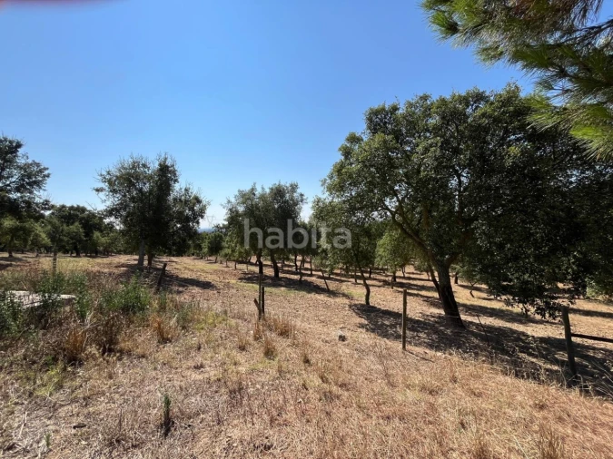 Quinta T4 para Venda em Santiago do Cacém, Santa Cruz e São Bartolomeu da Serra Foto 19