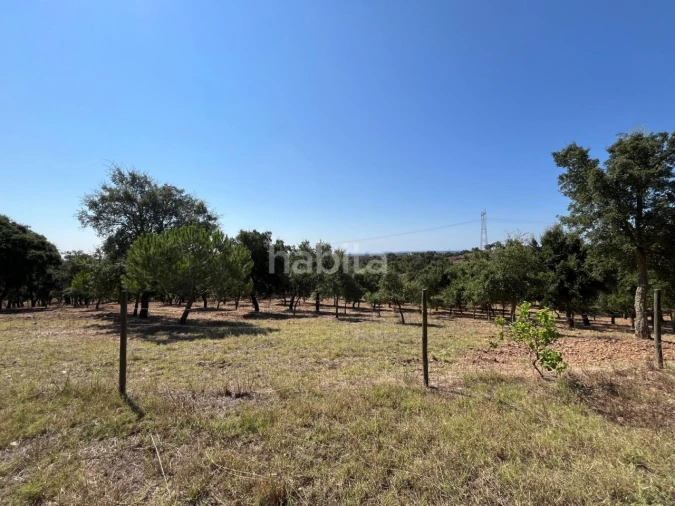 Quinta T4 para Venda em Santiago do Cacém, Santa Cruz e São Bartolomeu da Serra Foto 20