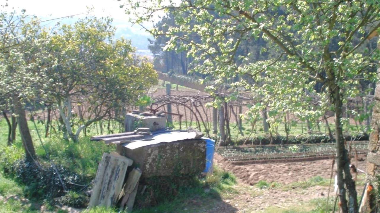 Quinta T0 para Venda em Lousado Foto 8