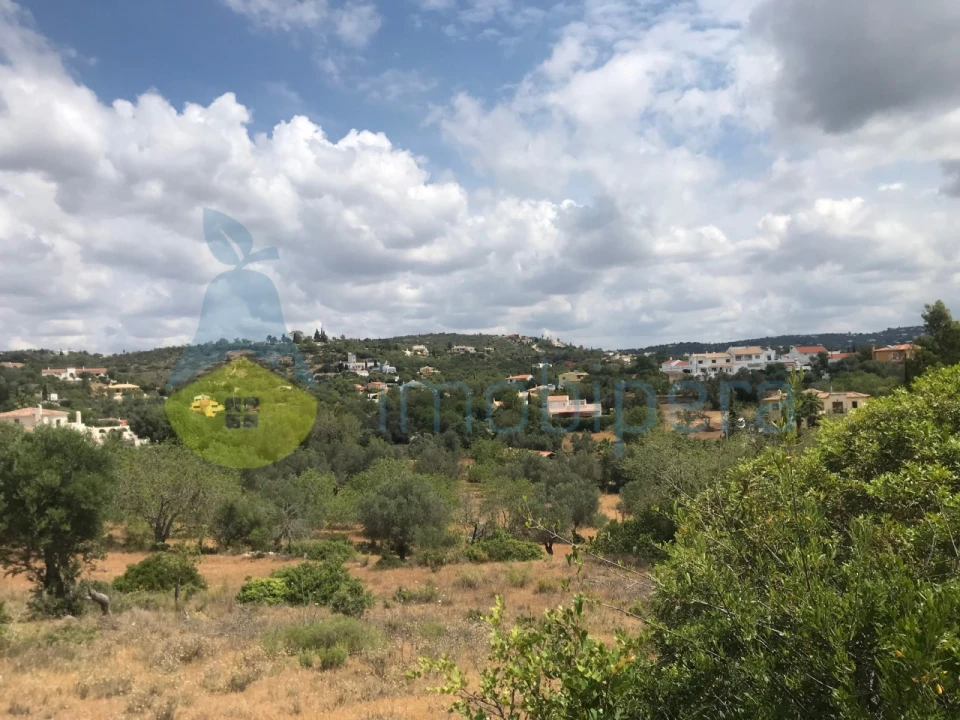 Terreno Agricola ou Rústico para Venda em Boliqueime Foto 1