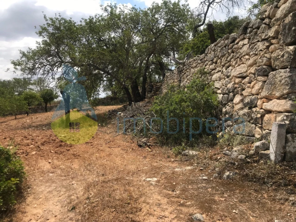 Terreno Agricola ou Rústico para Venda em Boliqueime Foto 2