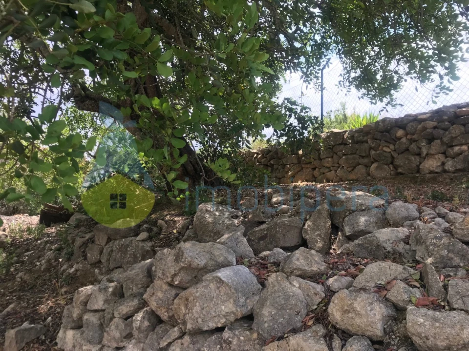 Terreno Agricola ou Rústico para Venda em Boliqueime Foto 7