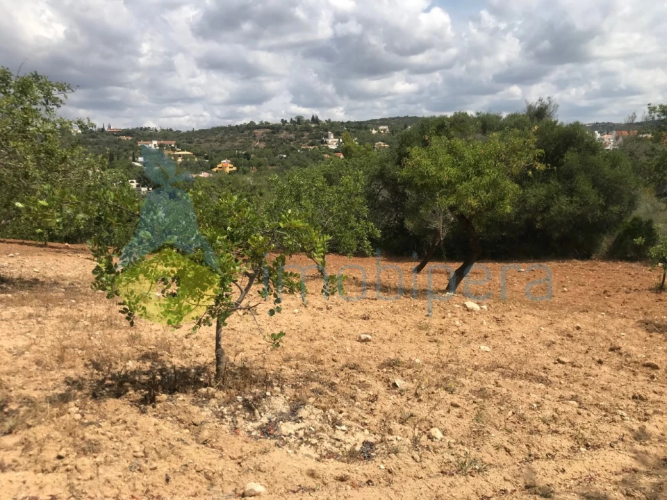 Terreno Agricola ou Rústico para Venda em Boliqueime Foto 14
