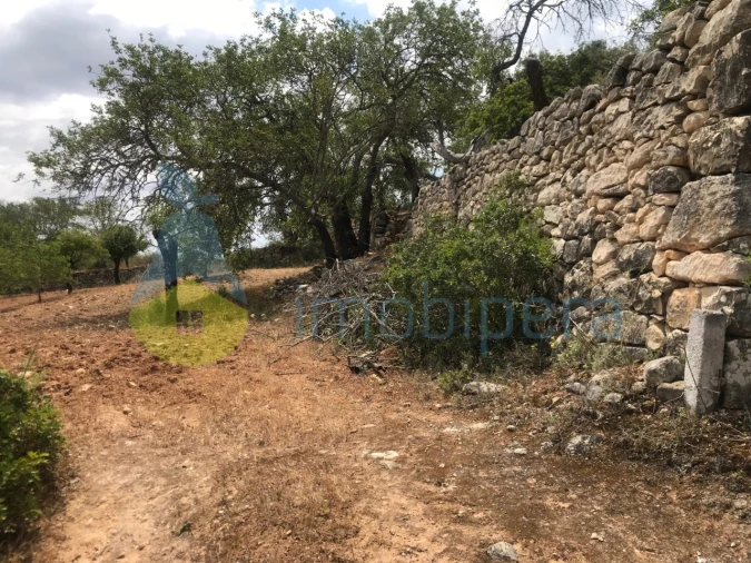Terreno Agricola ou Rústico para Venda em Boliqueime Foto 2