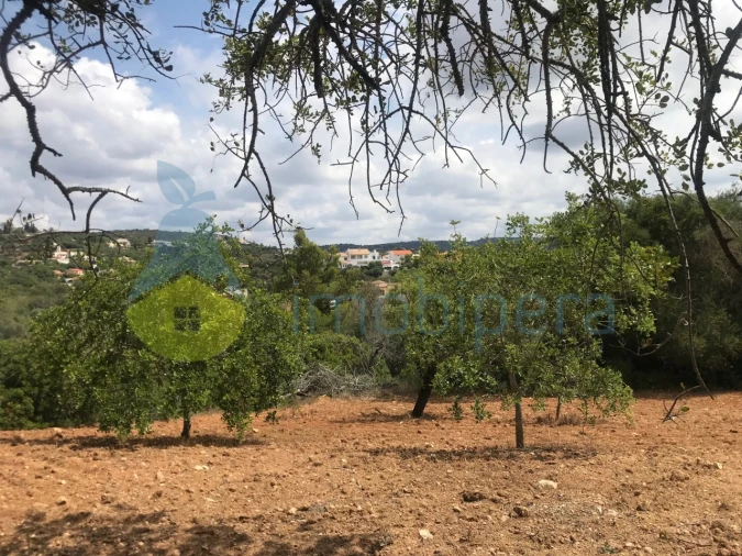 Terreno Agricola ou Rústico para Venda em Boliqueime Foto 3