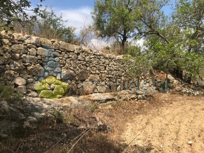 Terreno Agricola ou Rústico para Venda em Boliqueime Foto 6