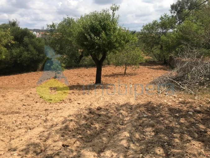 Terreno Agricola ou Rústico para Venda em Boliqueime Foto 13