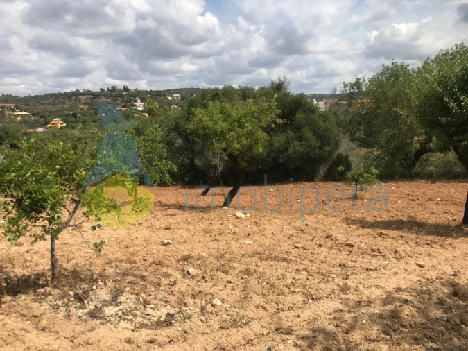 Terreno Agricola ou Rústico para Venda em Boliqueime Foto 15
