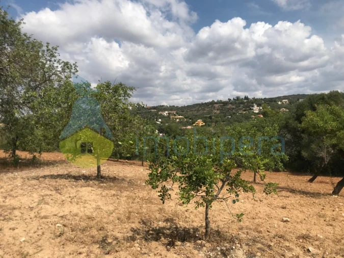 Terreno Agricola ou Rústico para Venda em Boliqueime Foto 16