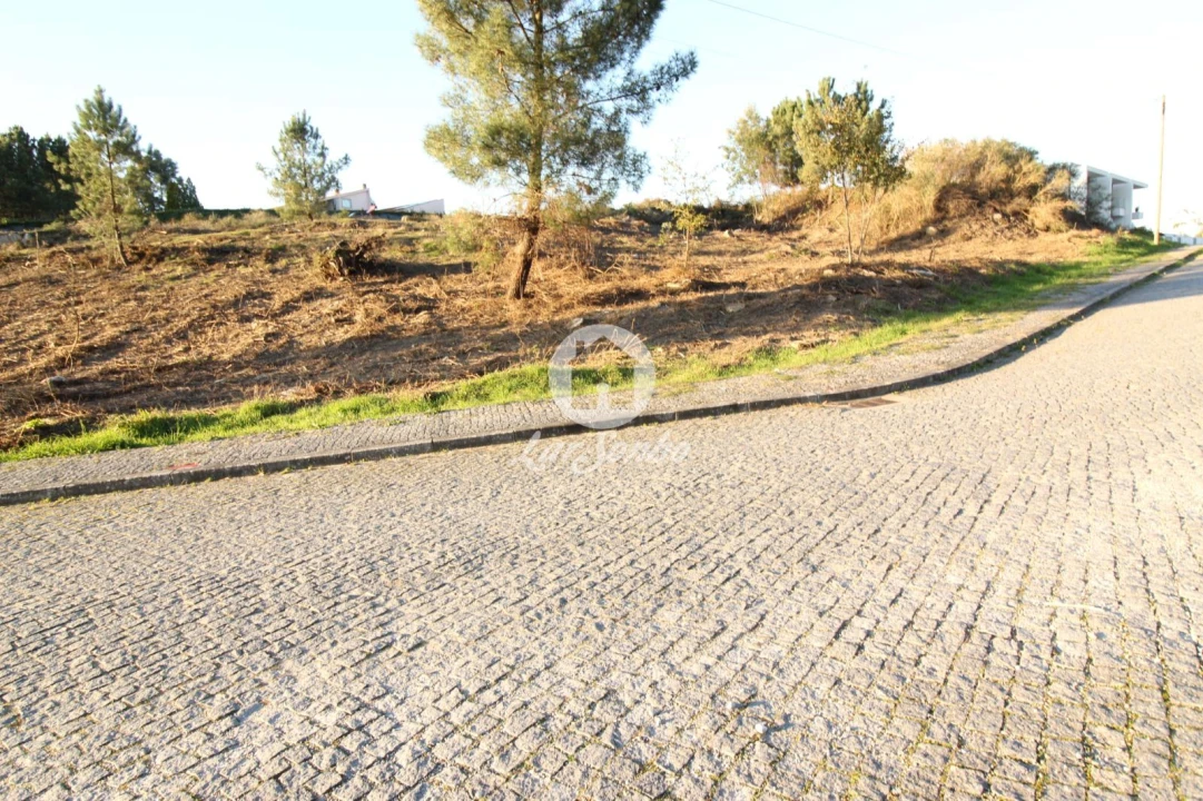 Terreno para Venda em Antime e Silvares (São Clemente) Foto 1