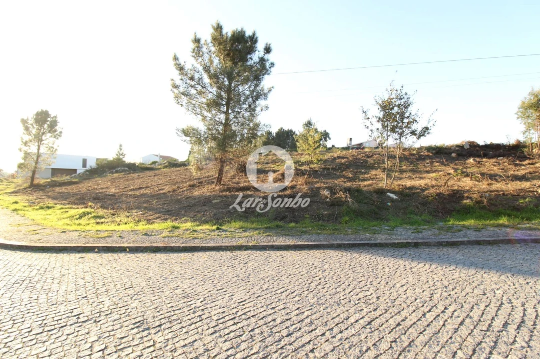 Terreno para Venda em Antime e Silvares (São Clemente) Foto 3