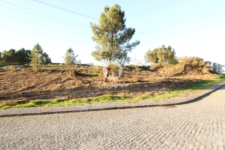 Terreno para Venda em Antime e Silvares (São Clemente) Foto 2