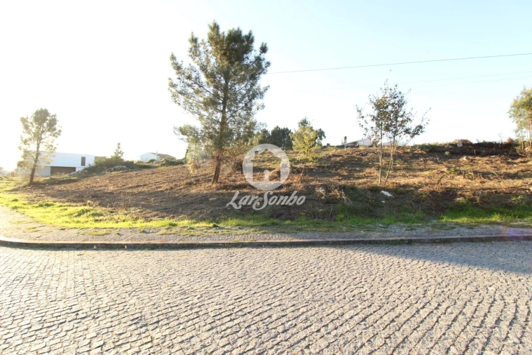 Terreno para Venda em Antime e Silvares (São Clemente) Foto 3