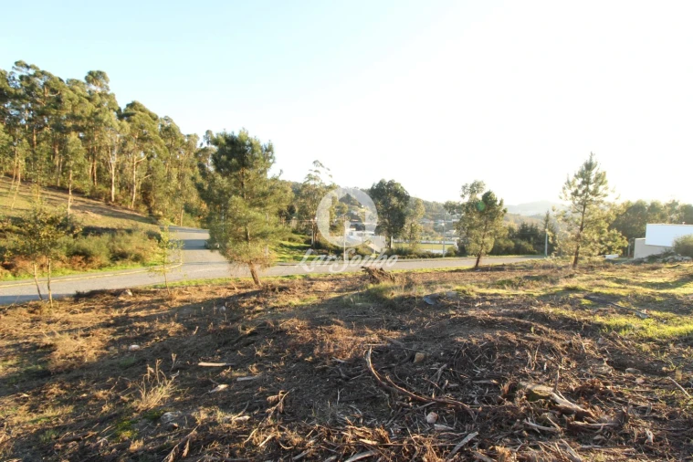 Terreno para Venda em Antime e Silvares (São Clemente) Foto 4