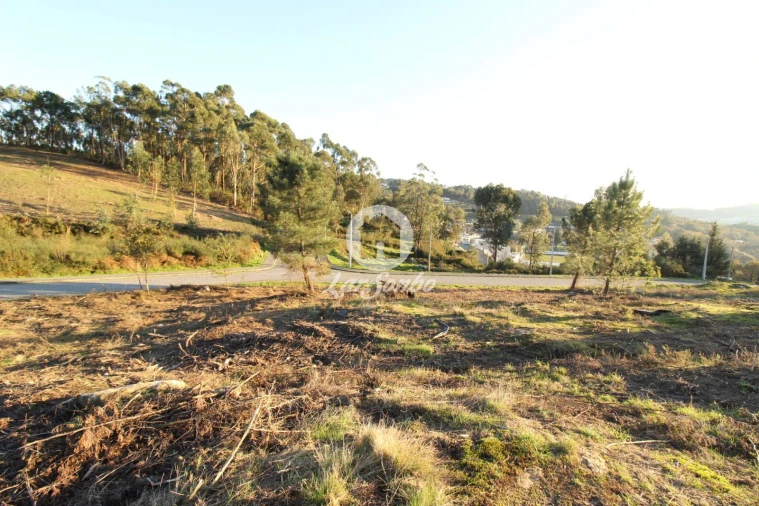 Terreno para Venda em Antime e Silvares (São Clemente) Foto 5