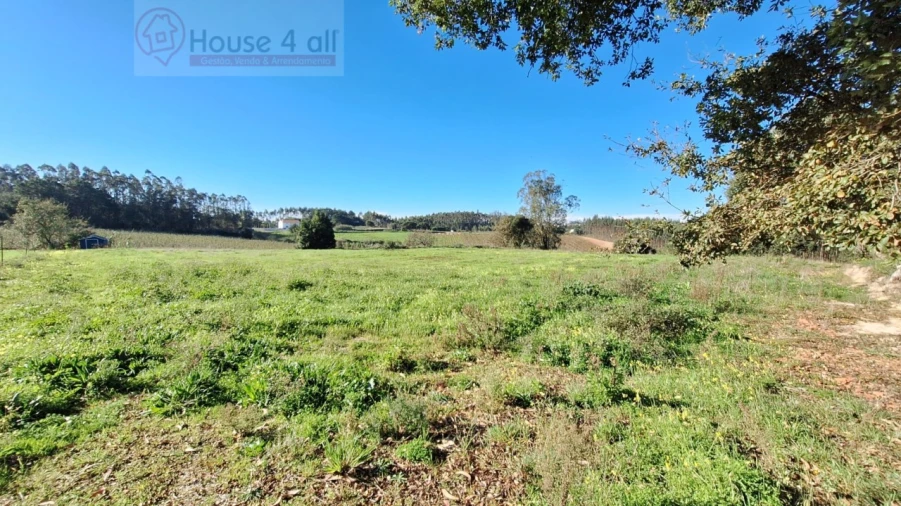 Terreno para Venda em Alfeizerão Foto 1