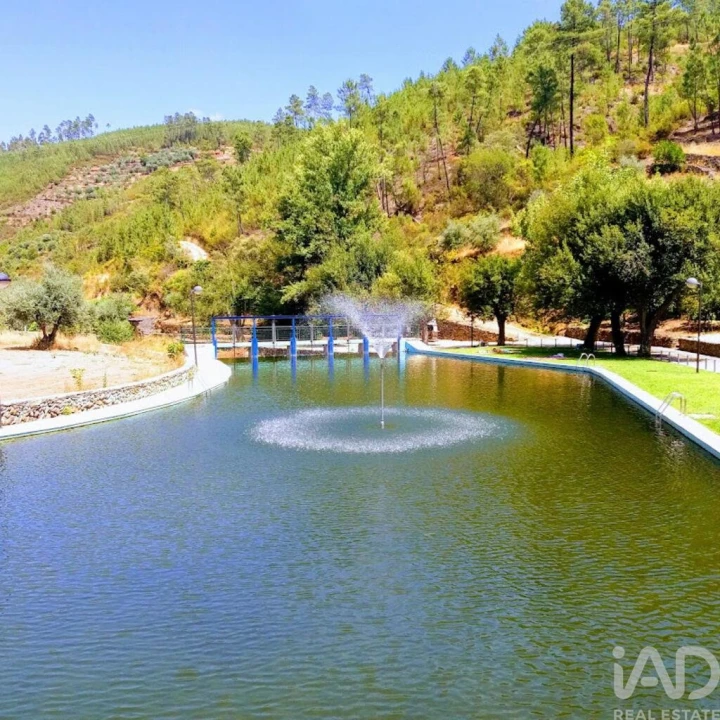 Moradia T4 para Venda em Sobreira Formosa e Alvito da Beira Foto 29