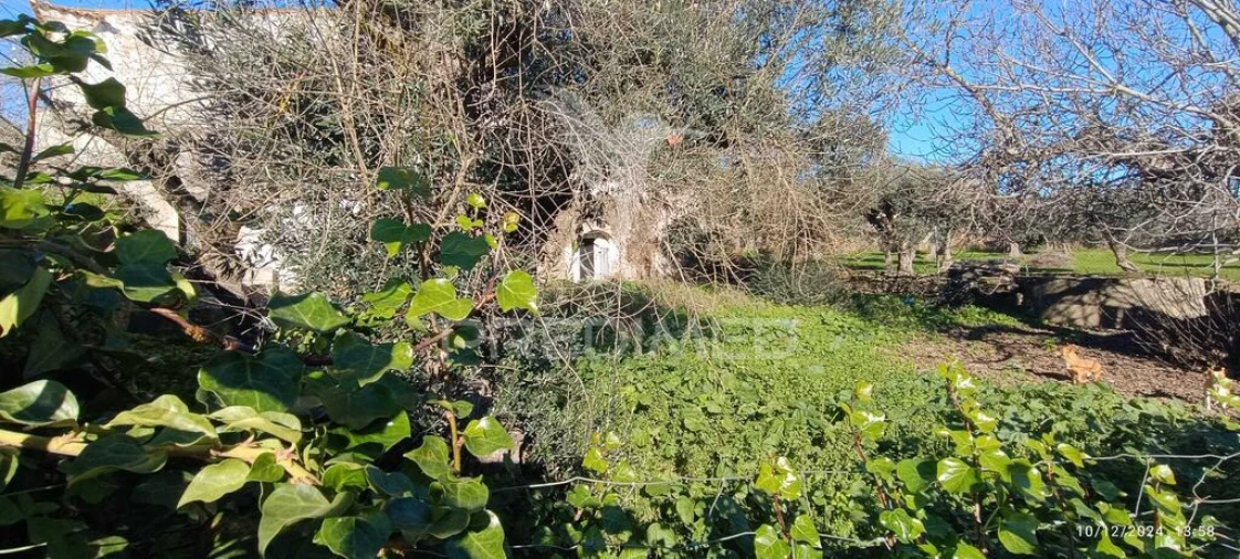 Moradia T4 para Venda em Montalvão Foto 12