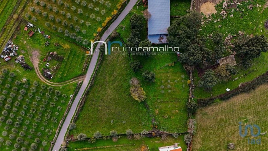 Terreno para Venda em Alverca da Beira/Bouça Cova Foto 6